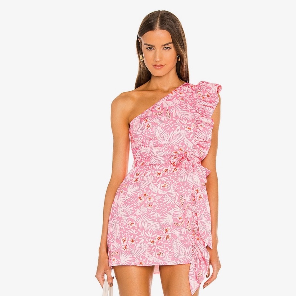 Lovers and Friends Seana Mini Dress In Sienna tropical